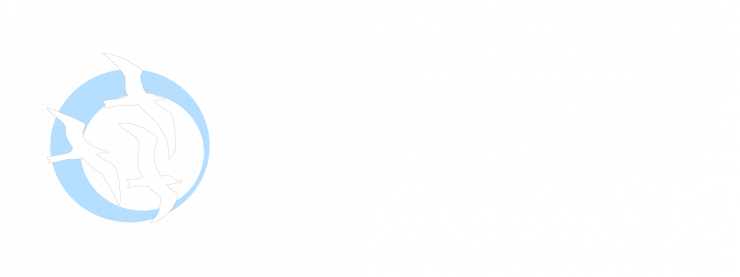 Instituto Paolini de Puebla A.C.